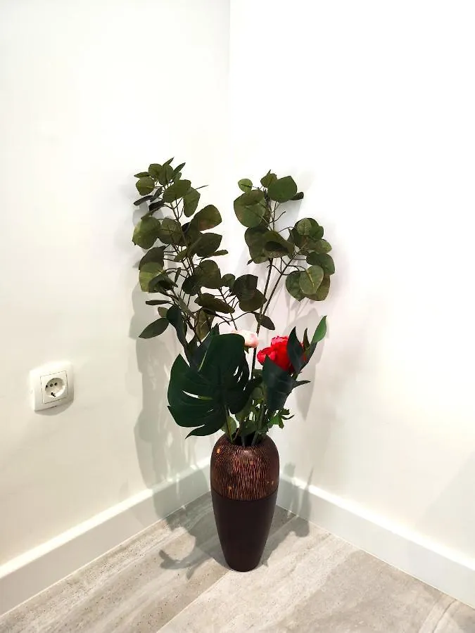 Rose - Heart Of Zadar Διαμέρισμα